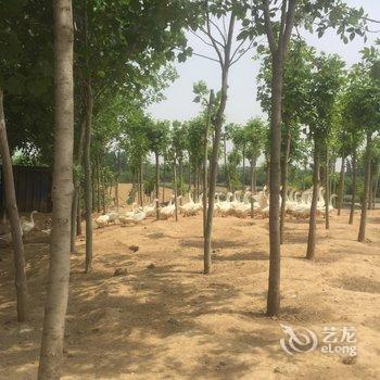 济宁曲阜圣城广场豪华公寓(阮家村分店)酒店提供图片