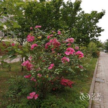 青岛qingge公寓(3号店)酒店提供图片