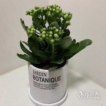 青岛hin舒适的小窝儿公寓酒店提供图片