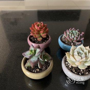 青岛hin舒适的小窝儿公寓酒店提供图片