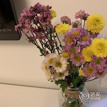 青岛hin舒适的小窝儿公寓酒店提供图片