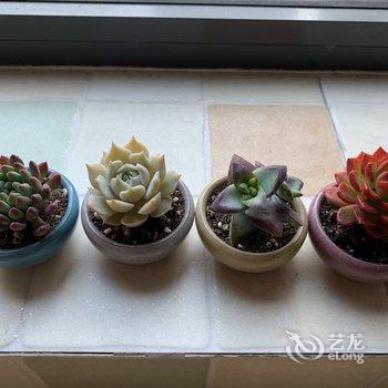 青岛hin舒适的小窝儿公寓酒店提供图片
