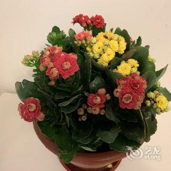 青岛hin舒适的小窝儿公寓酒店提供图片