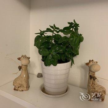 青岛hin舒适的小窝儿公寓酒店提供图片