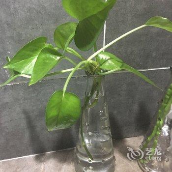 通往幸福的门公寓(西安3号店)酒店提供图片
