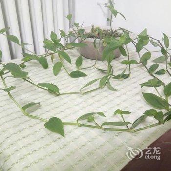 西安宜家小住KV公寓酒店提供图片