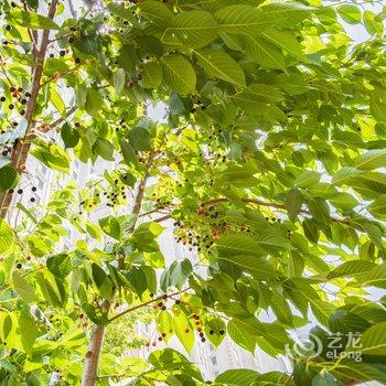 青岛电动沙发榻榻米吊蓝4.6米层高公寓酒店提供图片