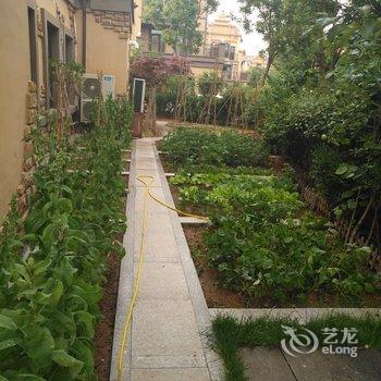 青岛成缘度假别墅酒店提供图片