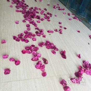 南宁叶雁公寓酒店提供图片