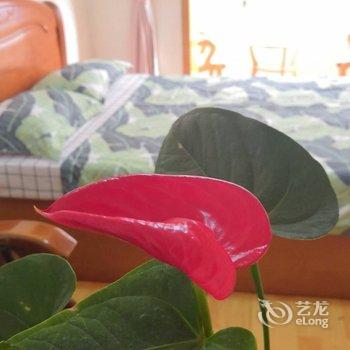 青岛喜达家StarHome公寓酒店提供图片