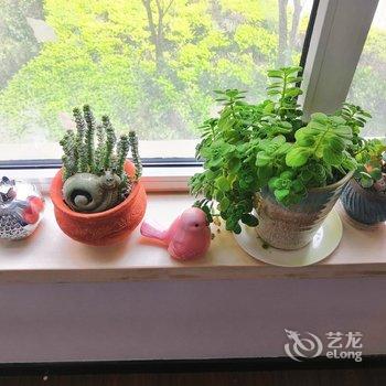 青岛天泰城彭彭一宿公寓酒店提供图片