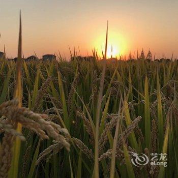 上海九娃麻麻公寓酒店提供图片