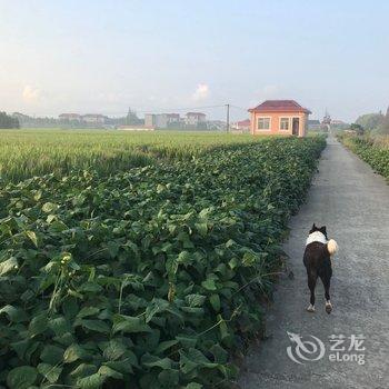 上海九娃麻麻公寓酒店提供图片