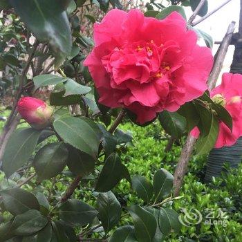 扬州阳光小夫人公寓(5号店)酒店提供图片