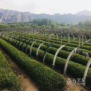 青岛胖妞家民宿(3号店)酒店提供图片