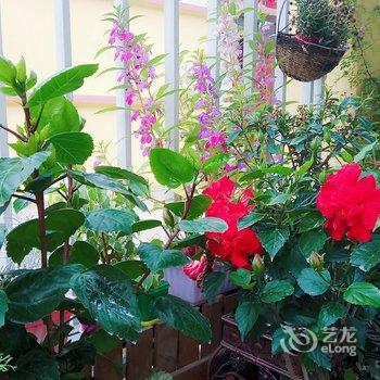 青岛花房别墅(5号店)酒店提供图片