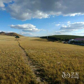 乌兰布统贵宾楼酒店酒店提供图片