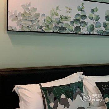 南宁晏◎梧桐树下公寓(2号店)酒店提供图片