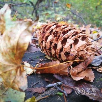 长白山108山舍酒店提供图片