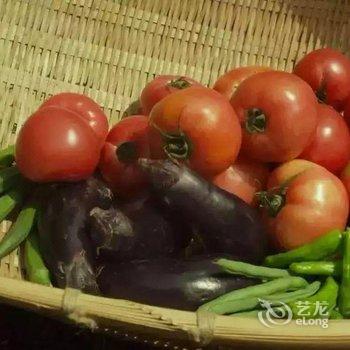 偃师菩提本无树却客居酒店提供图片