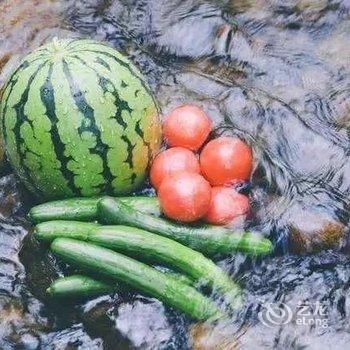 偃师菩提本无树却客居酒店提供图片