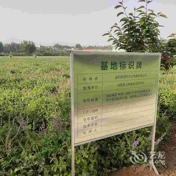 偃师菩提本无树却客居酒店提供图片