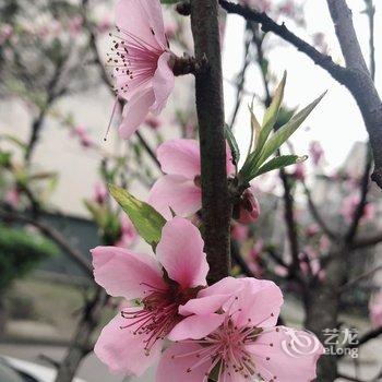 都江堰市素拾光民宿酒店提供图片