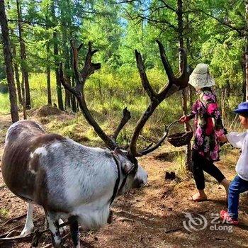 根河林韵山居家庭旅馆酒店提供图片