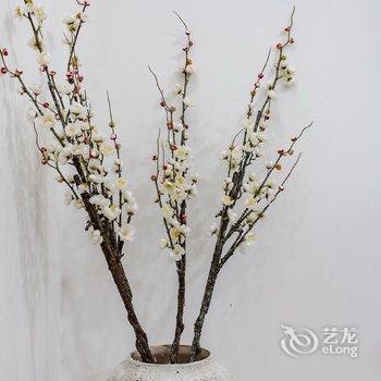 成都翼龙公寓酒店提供图片