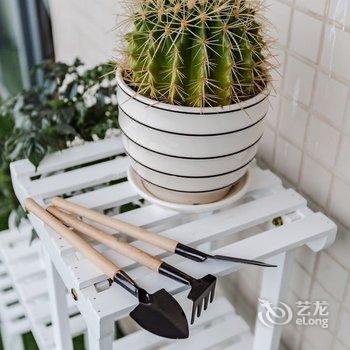 成都翼龙公寓酒店提供图片