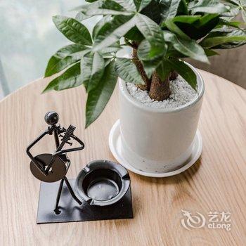 成都翼龙公寓酒店提供图片
