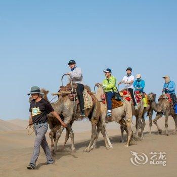 敦煌骆驼刺沙漠露营基地酒店提供图片