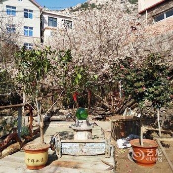 青岛盛海春农家宴民宿酒店提供图片