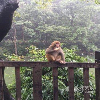 贵阳贵阳小跓客栈酒店提供图片