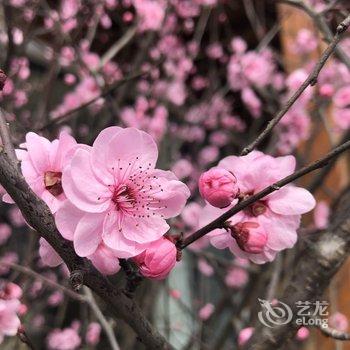 绵阳柒里别院酒店提供图片
