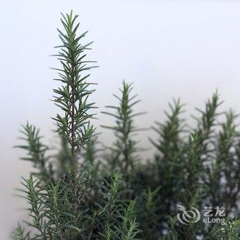 绵阳柒里别院酒店提供图片