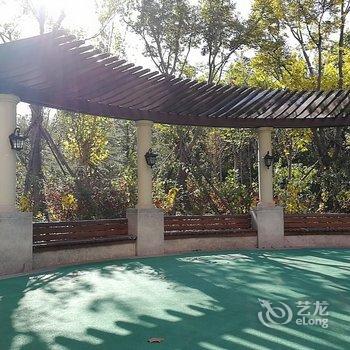 青岛毛咪的小屋酒店提供图片