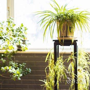 别野听雨别墅(北京立汤路店)酒店提供图片