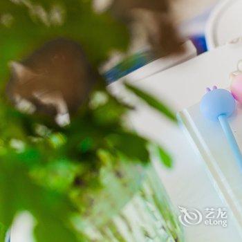 青岛拾弐公寓酒店提供图片