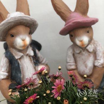 青岛采姑娘的小蘑菇民宿酒店提供图片