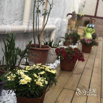 青岛采姑娘的小蘑菇民宿酒店提供图片
