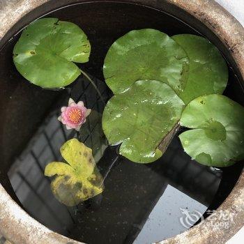 青岛采姑娘的小蘑菇民宿酒店提供图片
