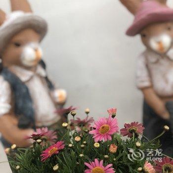 青岛采姑娘的小蘑菇民宿酒店提供图片