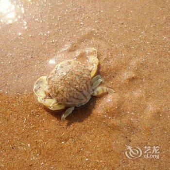 青岛夏夏日租房公寓酒店提供图片