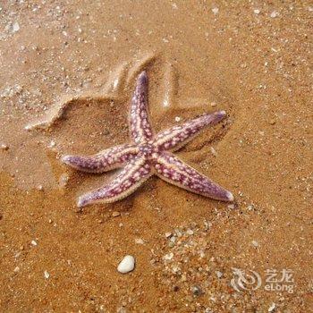 青岛夏夏日租房公寓酒店提供图片