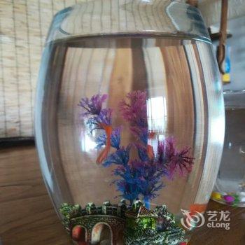 青岛格调home公寓(2号店)酒店提供图片