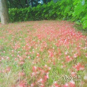 北海恬恬民宿(银滩大道分店)酒店提供图片