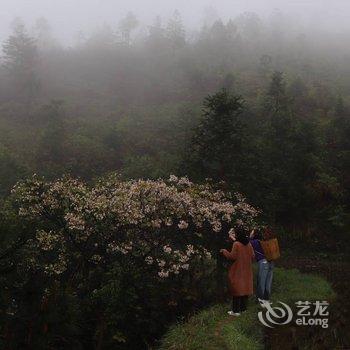 西江花房客栈酒店提供图片