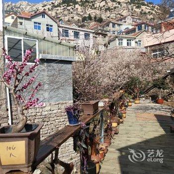 青岛盛海春农家宴民宿酒店提供图片