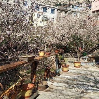 青岛盛海春农家宴民宿酒店提供图片